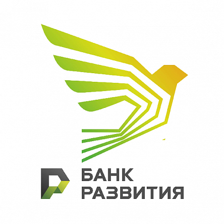 Оценка, анализ и мониторинг финансового состояния клиентов и партнеров в ОАО «Банк развития Республики Беларусь»